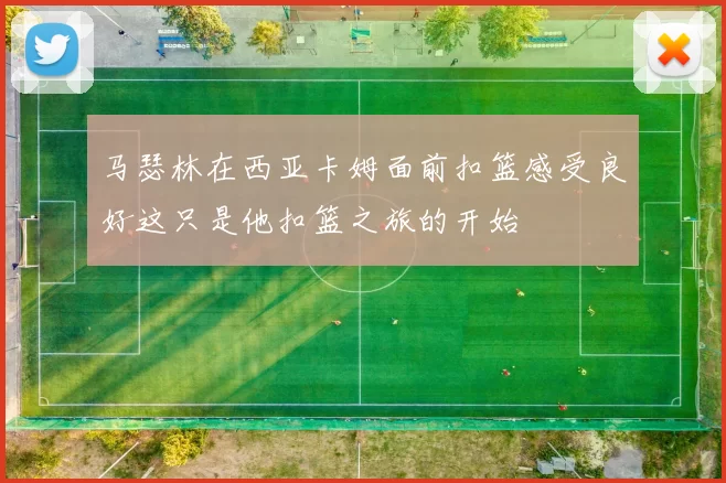 马瑟林在西亚卡姆面前扣篮感受良好这只是他扣篮之旅的开始