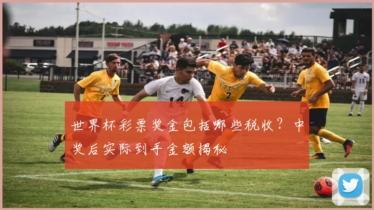 世界杯彩票奖金包括哪些税收?中奖后实际到手金额揭秘