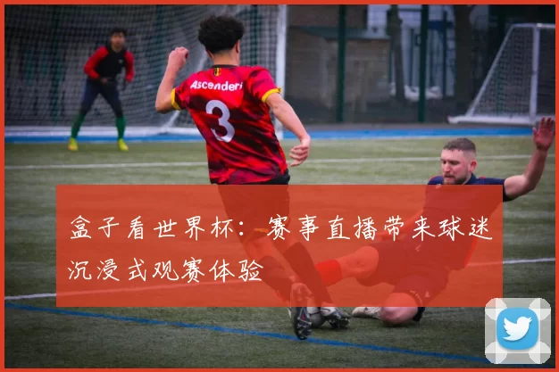 盒子看世界杯:赛事直播带来球迷沉浸式观赛体验