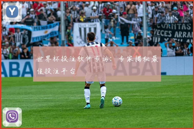 世界杯投注软件专访：专家揭秘最佳投注平台