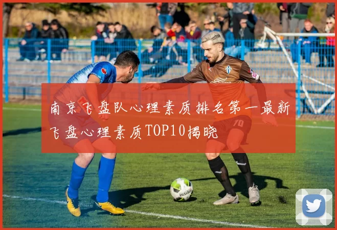 南京飞盘队心理素质排名第一最新飞盘心理素质TOP10揭晓