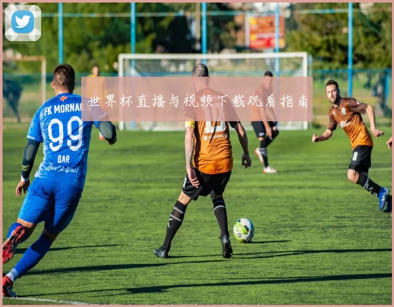 世界杯直播与视频下载观看指南